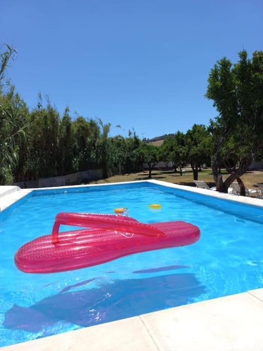 Quinta Da Ponte Das Hortas 2 エルヴァス エクステリア 写真