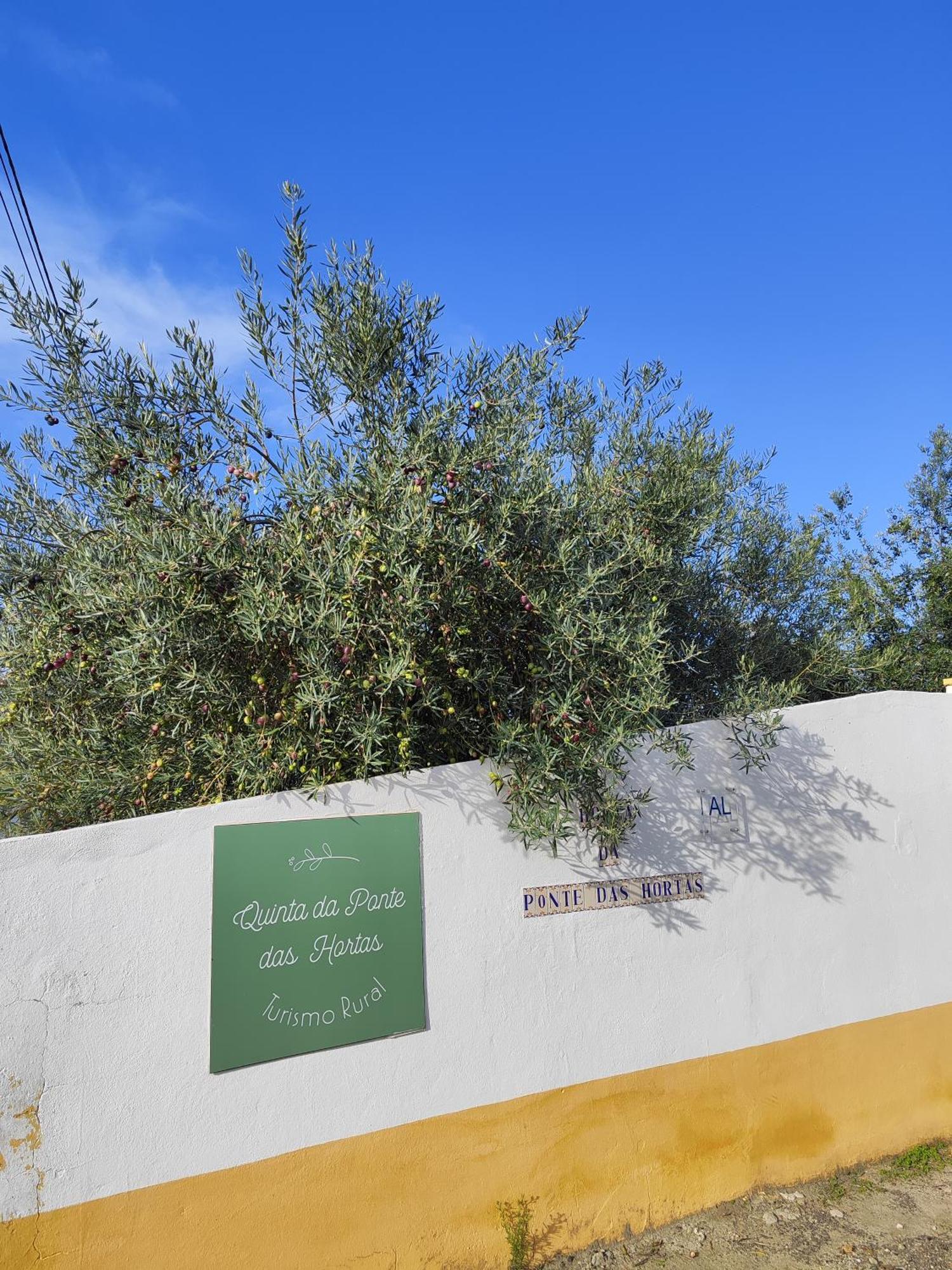 Quinta Da Ponte Das Hortas 2 エルヴァス エクステリア 写真