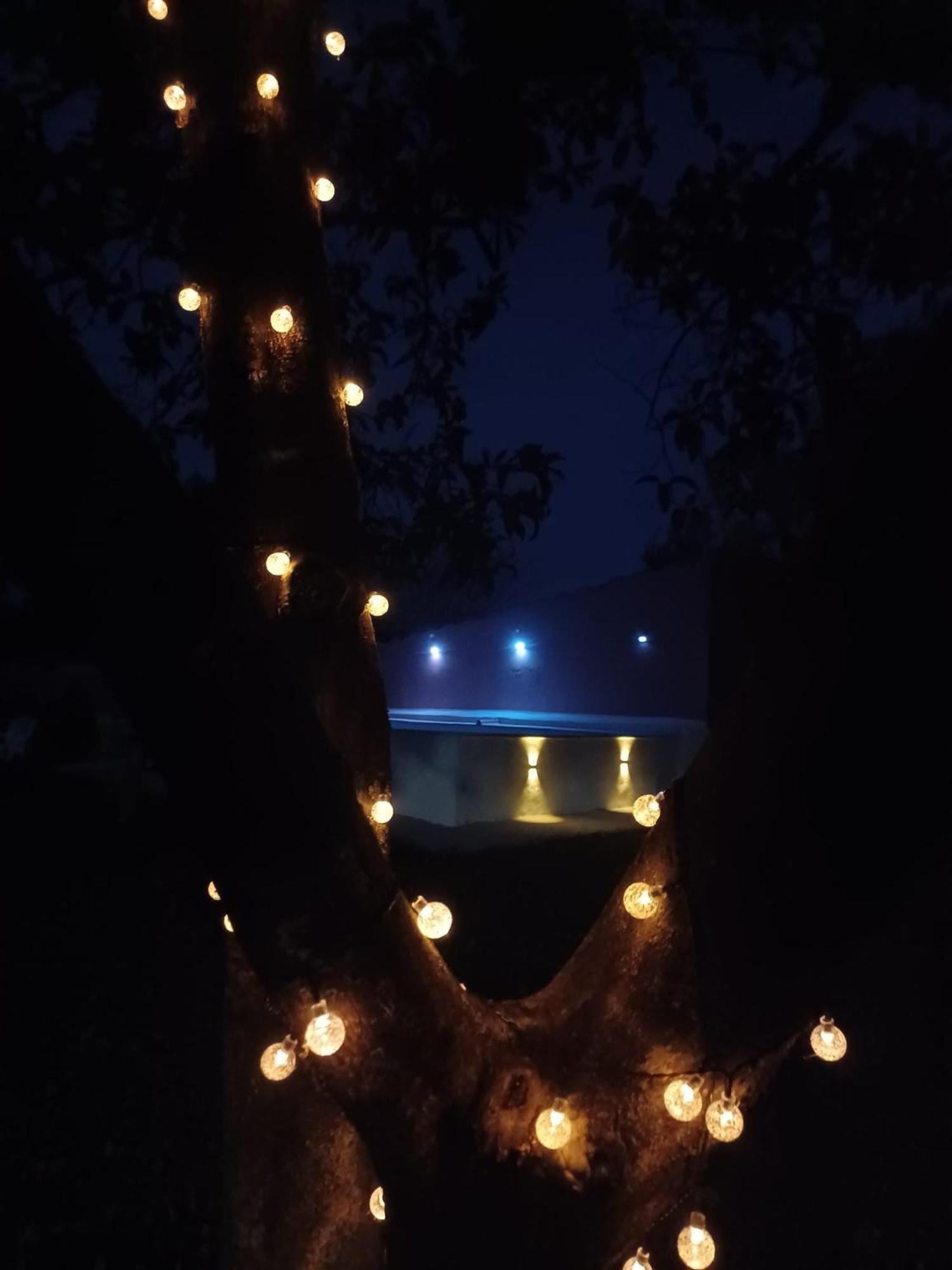 Quinta Da Ponte Das Hortas 2 エルヴァス エクステリア 写真